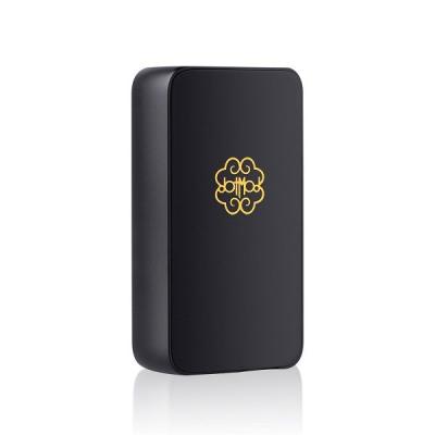 DotMod DotBox 200W - 2021